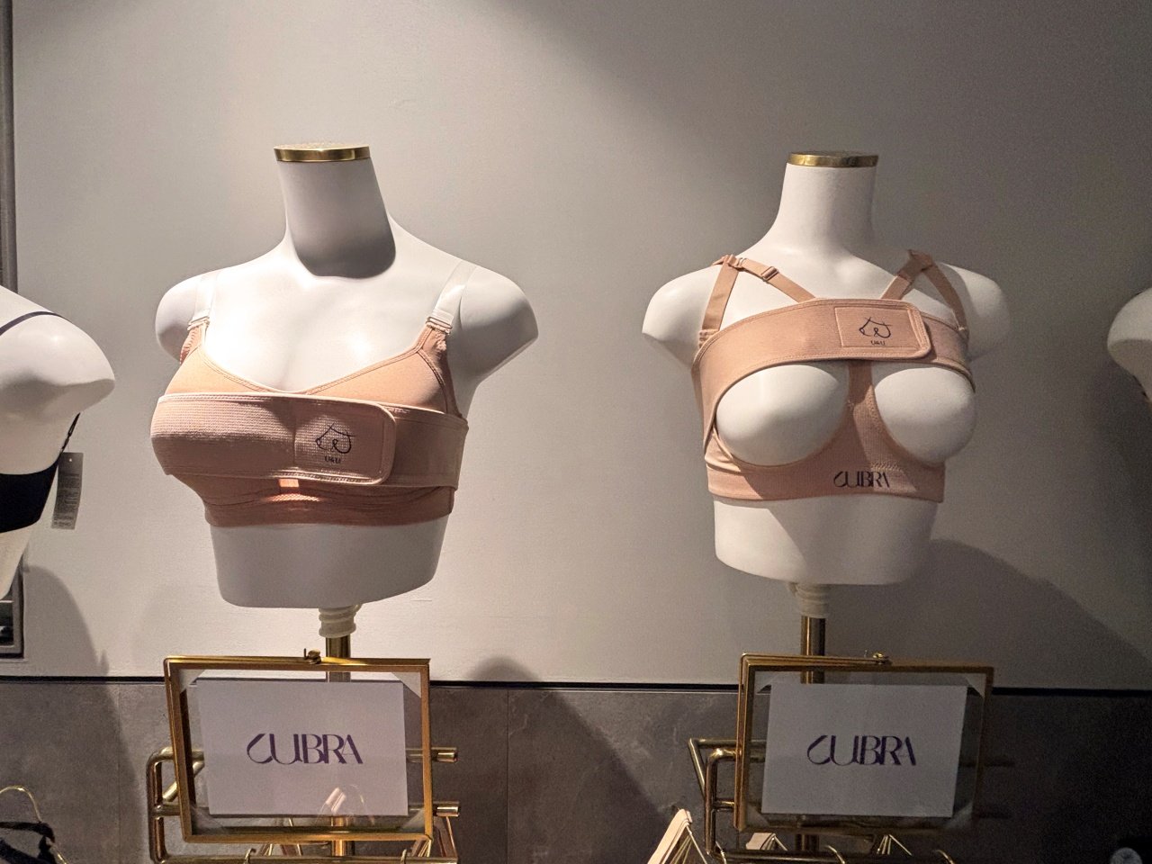 가슴수술 보형물 추천